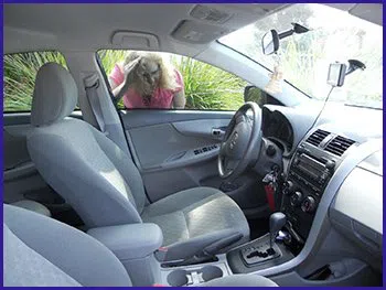 Elmwood RI Locksmith Store Elmwood, RI 401-236-7061